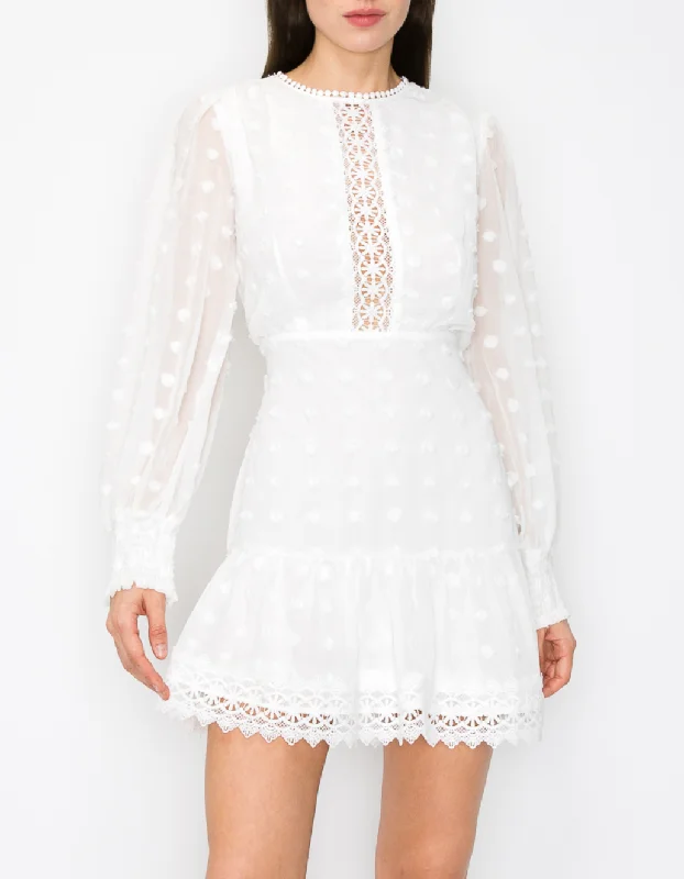 Embroidered Polka Dots Long Puff Sleeve Mini Dress Classic Floral Mini Dress